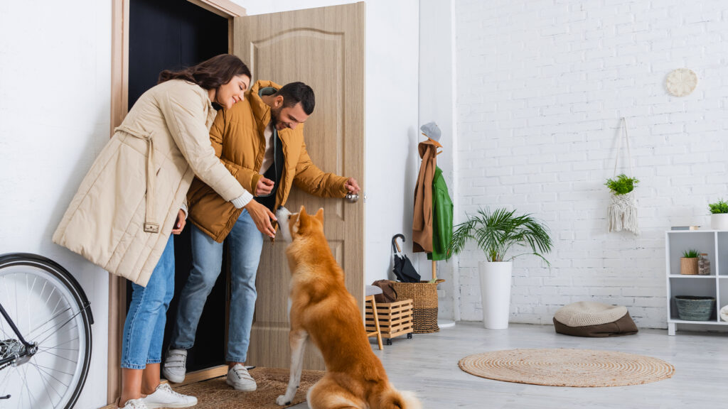 Perro sentado tranquilo en la puerta mientras llegan visitas